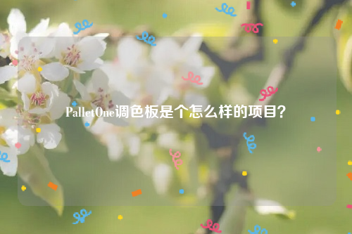 PalletOne调色板是个怎么样的项目？