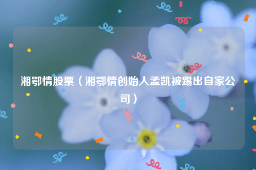 湘鄂情股票（湘鄂情创始人孟凯被踢出自家公司）