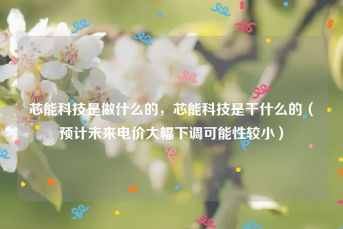 芯能科技是做什么的，芯能科技是干什么的（预计未来电价大幅下调可能性较小）