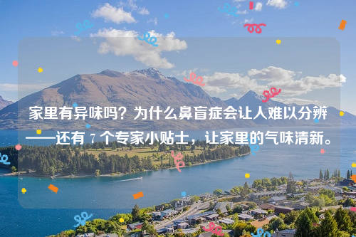 家里有异味吗？为什么鼻盲症会让人难以分辨——还有 7 个专家小贴士，让家里的气味清新。