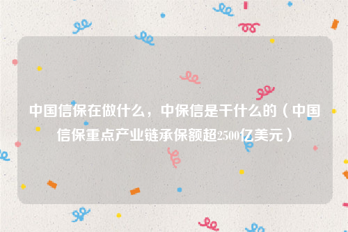 中国信保在做什么，中保信是干什么的（中国信保重点产业链承保额超2500亿美元）