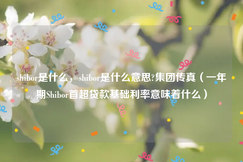 shibor是什么，shibor是什么意思?集团传真（一年期Shibor首超贷款基础利率意味着什么）