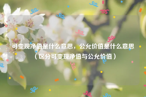 可变现净值是什么意思，公允价值是什么意思（区分可变现净值与公允价值）