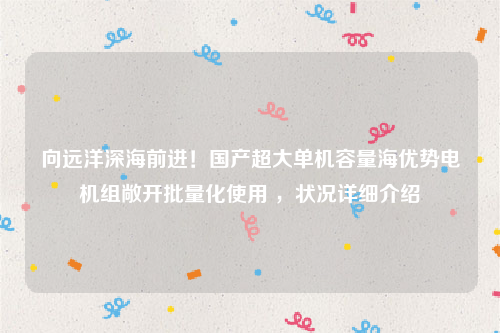 向远洋深海前进！国产超大单机容量海优势电机组敞开批量化使用 ，状况详细介绍