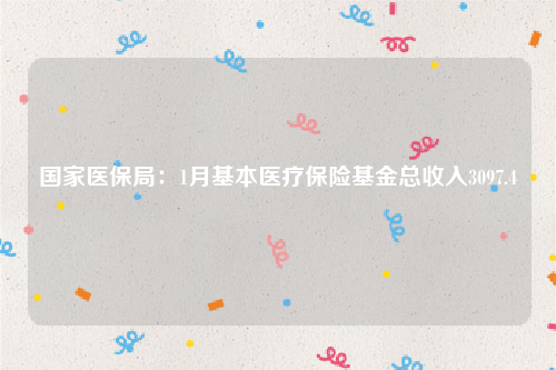 国家医保局：1月基本医疗保险基金总收入3097.4