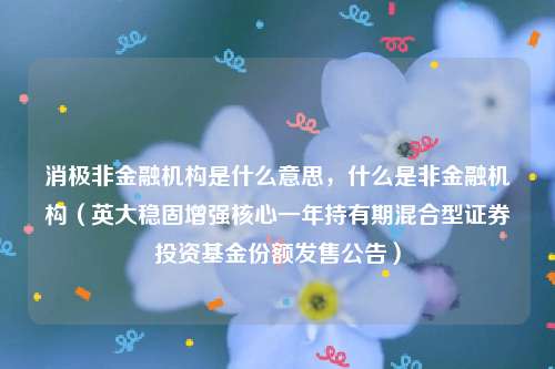 消极非金融机构是什么意思，什么是非金融机构（英大稳固增强核心一年持有期混合型证券投资基金份额发售公告）