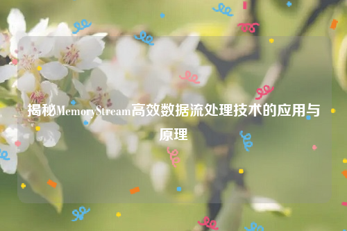 揭秘MemoryStream高效数据流处理技术的应用与原理