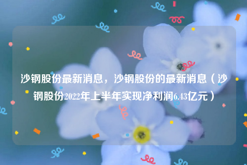 沙钢股份最新消息，沙钢股份的最新消息（沙钢股份2022年上半年实现净利润6.43亿元）