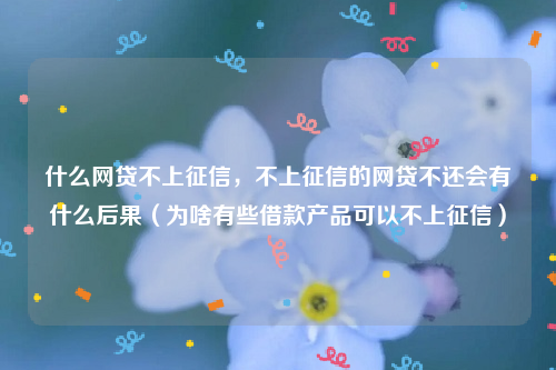 什么网贷不上征信，不上征信的网贷不还会有什么后果（为啥有些借款产品可以不上征信）