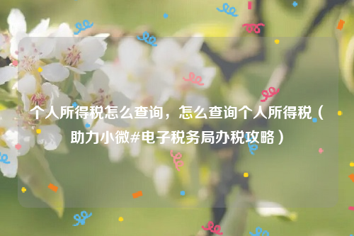 个人所得税怎么查询，怎么查询个人所得税（助力小微#电子税务局办税攻略）