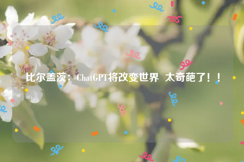 比尔盖茨：ChatGPT将改变世界  太奇葩了！！