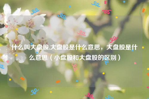 什么叫大盘股,大盘股是什么意思，大盘股是什么意思（小盘股和大盘股的区别）