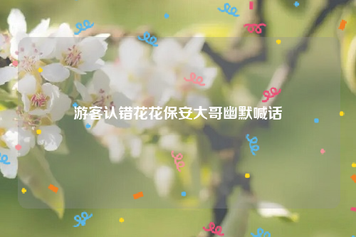 游客认错花花保安大哥幽默喊话