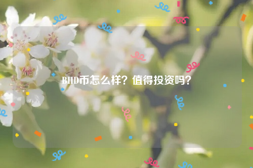 BHD币怎么样？值得投资吗？