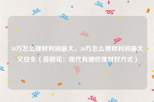 50万怎么理财利润最大，50万怎么理财利润最大又安全（普融花：现代有哪些理财好方式）