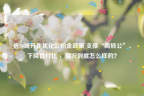 近30城开年优化公积金政策 支撑“商转公”、下降首付比 ，情况到底怎么样的？