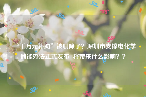 “千万元补助”被删除了？深圳市支撑电化学储能办法正式发布  将带来什么影响？？