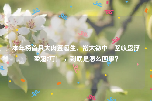 本年榜首只大肉签诞生，裕太微中一签收盘浮盈超7万！ ，到底是怎么回事？